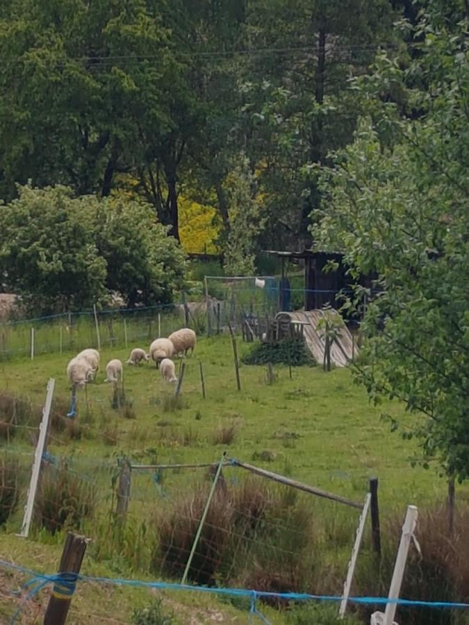 Ferienhaus A La Source *